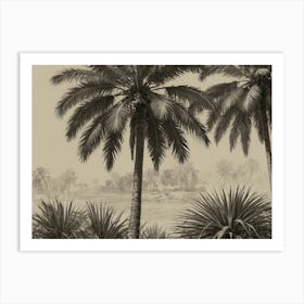 Palm Trees In The Desert 1 Art Print