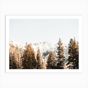 Snow Covered Mountain Forest Art Print