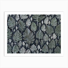 Dusty Miller Leaves On Black Art Print