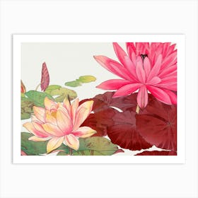 Chinese Water Lilies 1 Art Print