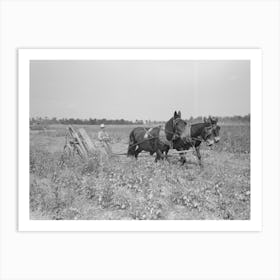 Untitled Photo, Possibly Related To Member Of Lake Dick Cooperative Association Repairing Mowing Machine Art Print