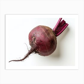 Beetroot isolated on white background. 4 Art Print