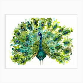 Peacock 22 Art Print