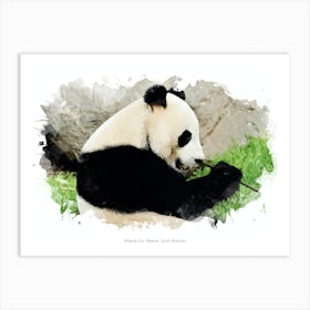 Adelaide Zoo, Adelaide, South Australia Art Print