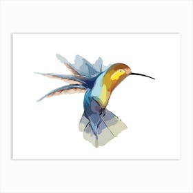 Hummingbird 28 Art Print