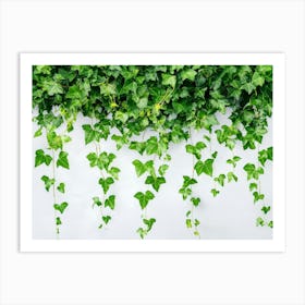 Curly Ivy Leaves Isolated On Light Background 2 Art Print