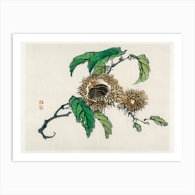 Chestnut, Kōno Bairei Art Print