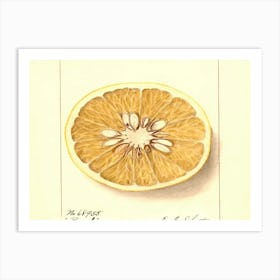 Orange Slice 1 Art Print