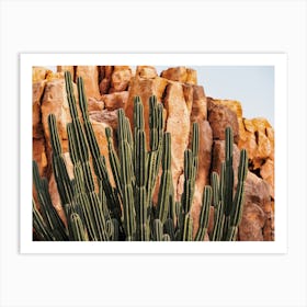 Cactus In Mountain Art Print