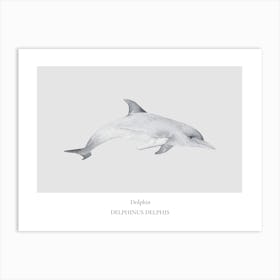 Dolphin Print Art Print