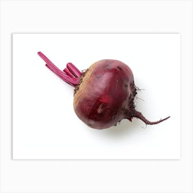 Beetroot isolated on white background. 2 Art Print