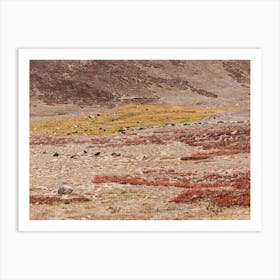 Nature Landscape Art Print