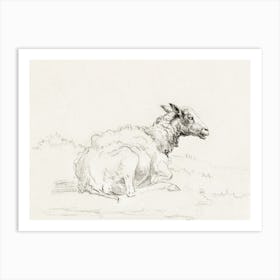 Lying Sheep 1, Jean Bernard Art Print