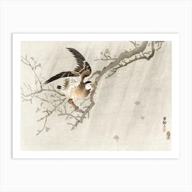 Gray Starling In Storm (1900 1910), Ohara Koson Art Print