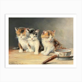 Three Kittens, Moritz Müller Art Print