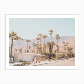 Street In Palm Springs Art Print