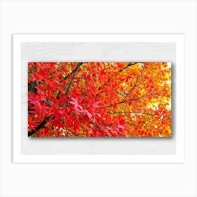 Bright Botanical Art Featuring Fall Foliage Vibrant Red Orange And Neon Colors Framing A Golden M (5) Art Print