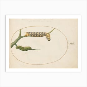 Animalia Qvadrvpedia Et Reptilia, Joris Hoefnagel (2) 1 Art Print