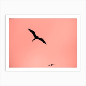 Two Birds Art Print
