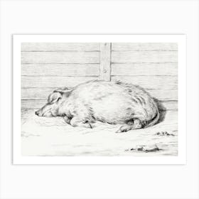 Lying Pig (1812), Jean Bernard Art Print