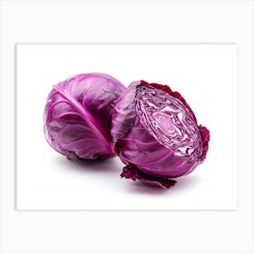 Red Cabbage (18) Art Print