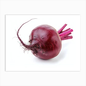 Beetroot isolated on white background. 6 Art Print