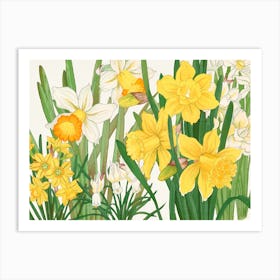 Daffodils 6 Art Print