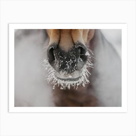 Cold Horse Breath Art Print