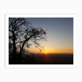 Silhouette of tree at sunset Art Print