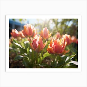 Tulips In The Garden Art Print