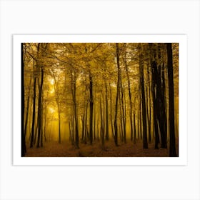 Foggy Forest 2 Art Print