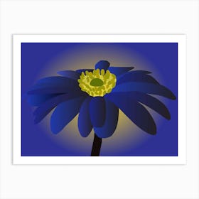 Anemone Blanda Flower Art Art Print