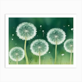 Dandelion 22 Art Print