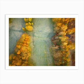 Autumn In Poland Art Print