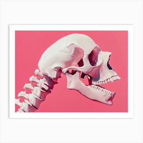 Skeleton 6 Art Print