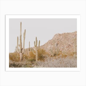 Sunset Desert Scenery Art Print