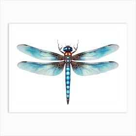 Dragonfly Blue Eyed Darner Pencil Drawing 2 Art Print