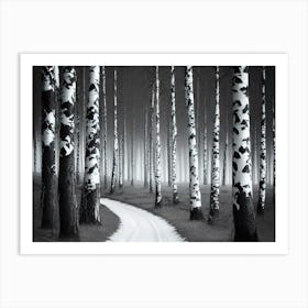 Birch Forest 117 Art Print