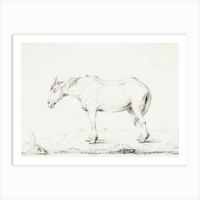 Standing Horse, Jean Bernard Art Print
