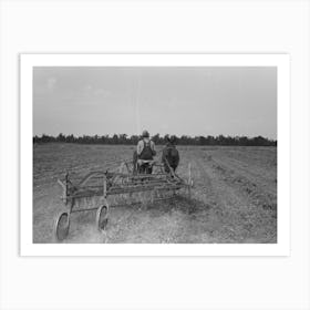 Untitled Photo, Possibly Related To Raking Soybean Hay, Lake Dick Project, Arkansas By Russell Lee 1 Art Print