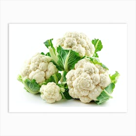 Cauliflower 18 Art Print