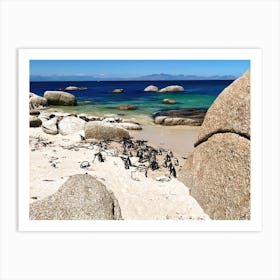 Penguins On The Beach (Africa Series) 2 Art Print