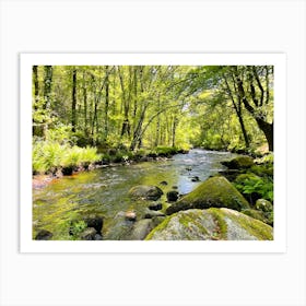 Wild River In The Woods Art Print