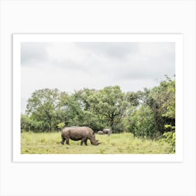 Rhino During A Walking Safari In A Park In Uganda In East Africa Art Print