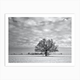 Lone Tree In The Snow 1 Art Print