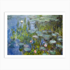 Water Lilies 16 Art Print