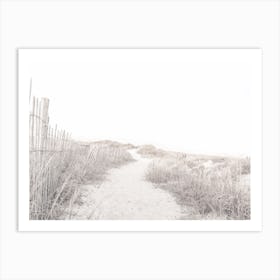 Path To Beach Art Print