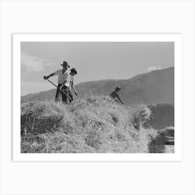 Untitled Photo, Possibly Related To Threshing Wheat, Taos County, New Mexico By Russell Lee Art Print
