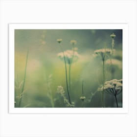 Nostalgic Nature No 4 Art Print