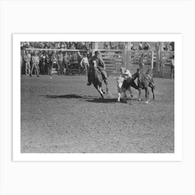 Wild Steer Wrestling At The Rodeo Of The San Angelo Fat Stock Show, San Angelo, Texas By Russell Lee Art Print